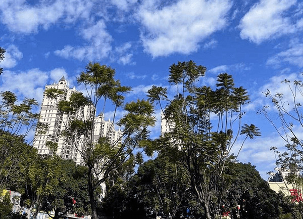 【深圳市】2019年国家高新技术企业培育计划介绍及申请指南-项目申报|51一起创